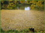 Осенний-пруд-min.jpg